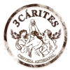 Cerveza Artesanal 3Cárites logo