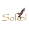 Sokol logo