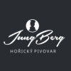 JungBerg logo
