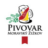 Pivovar Moravský Žižkov Divočák 10°
