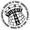 Turris Birra logo