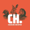 Cerveceria Charlone logo