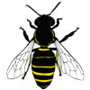 Sheffield Mead logo