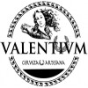 Valentivm Cerveza Artesana logo