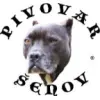 Pivovar Šenov logo