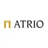Atrio Cerveza Artesanal logo