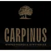 Carpinus Microbrewery Evritanias Carpinus Belgian Wit