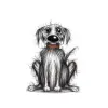 Scruffy Dog logo