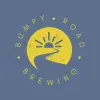 Bumpy Road Brewing Lakeside Lager