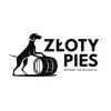 Złoty Pies Pudel Królewski Dry Stout